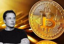 Elon Musk, Bitcoin, BTC, Twitter,