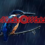 mediaworld