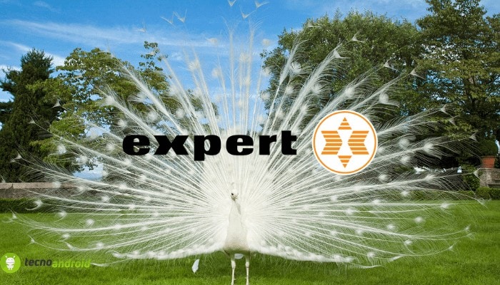 expert