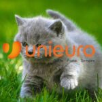 unieuro