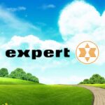 expert