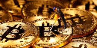 Bitcoin: la valuta digitale potrebbe divenire “una valuta del commercio internazionale”