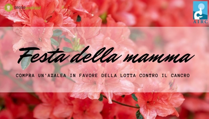 Festa della mamma: un’Azalea dell'AIRC per regalo aiuterà nella lotta contro il cancro