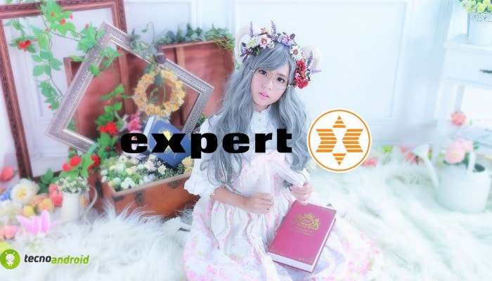 expert