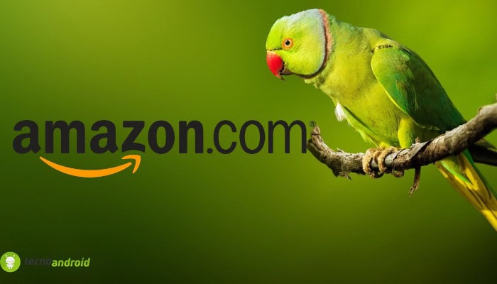 amazon