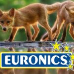 euronics