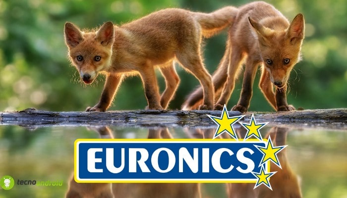 euronics