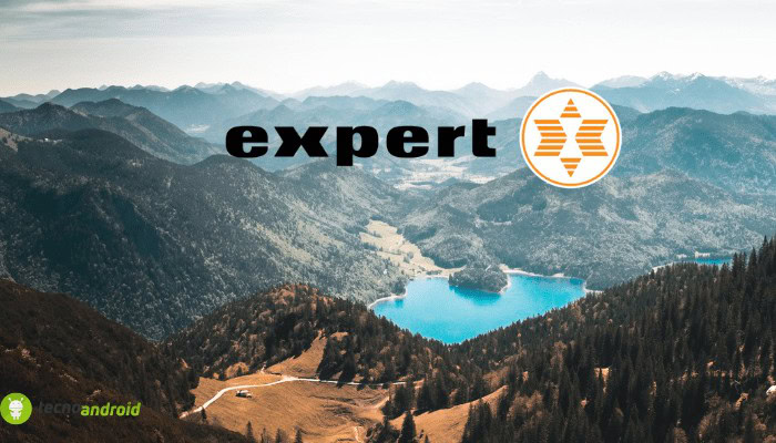 expert