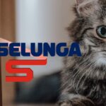 esselunga