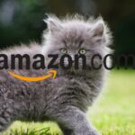 amazon