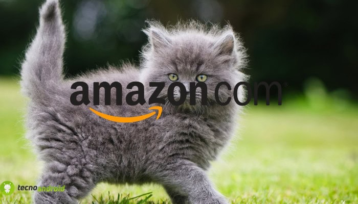 amazon