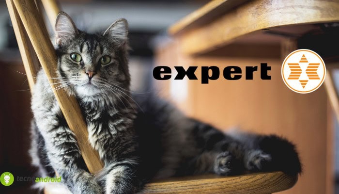 expert