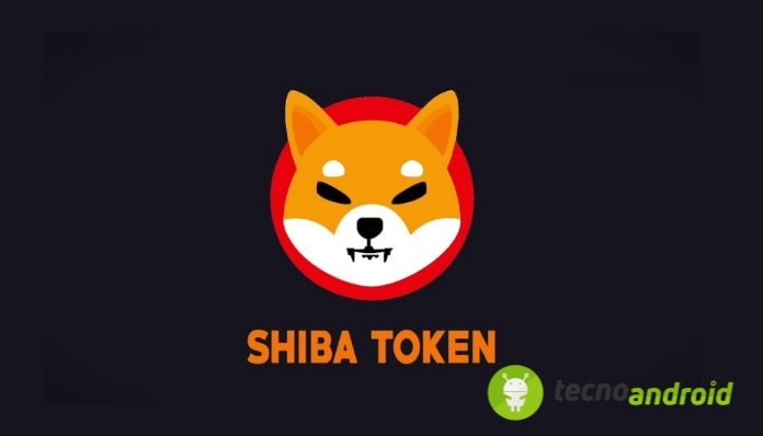 Shiba Inu