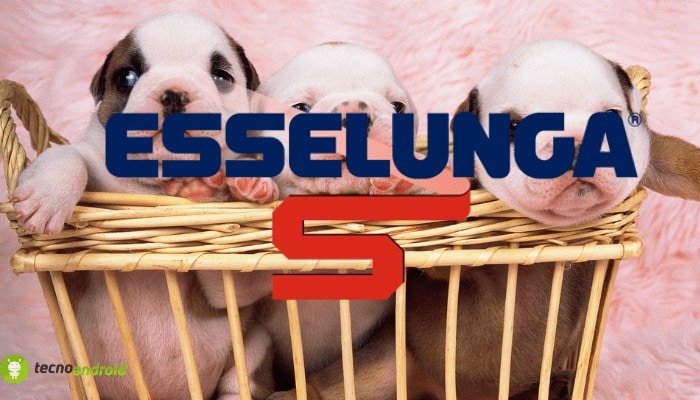 esselunga