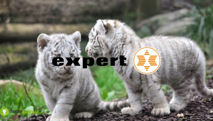 expert