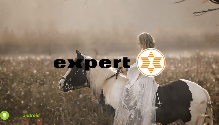 expert