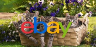 ebay