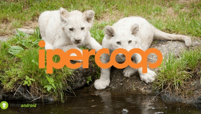 ipercoop