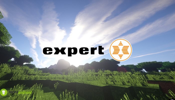 expert