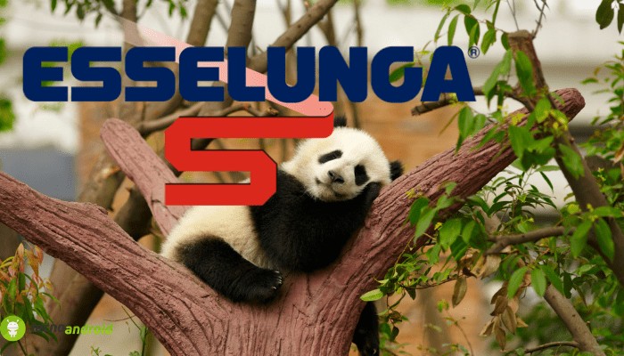 esselunga