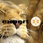 expert