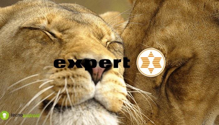 expert