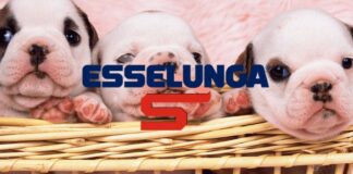 esselunga