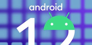 Google, Android 12, Beta 1, beta test, developer preview