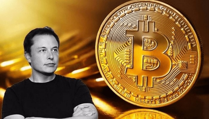 bitcoin-elon-musk