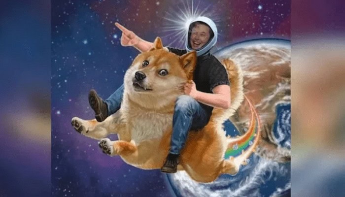 dogecoin-satellite-luna-spacex-musk