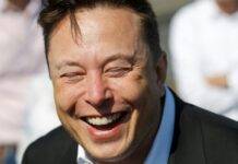 dogecoin-elon-musk-crollo-valore