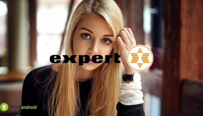 expert