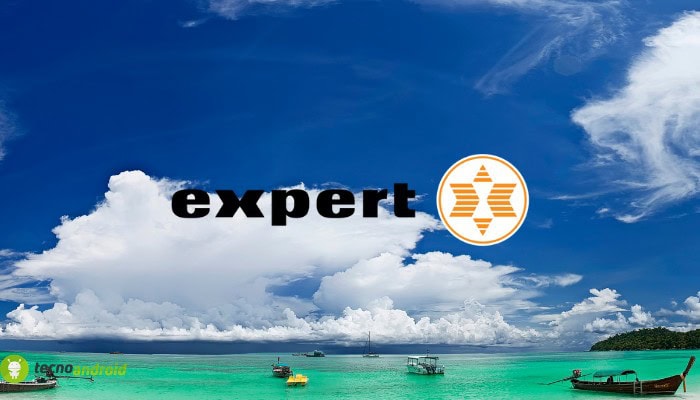 expert