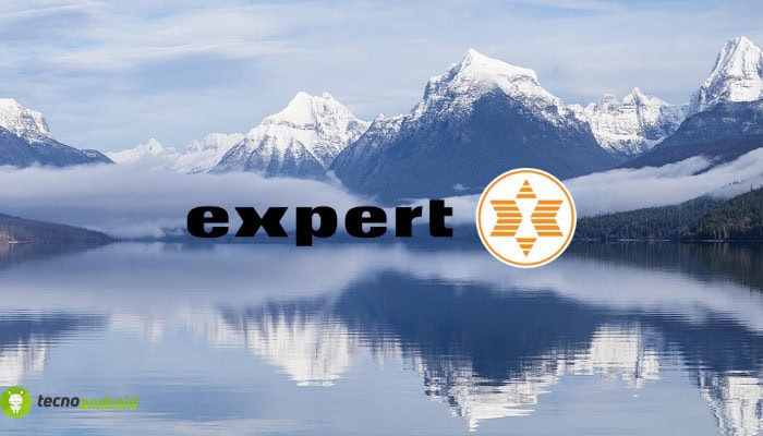 expert