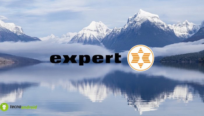 expert