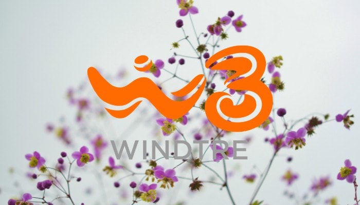 WindTre offerta GO 50