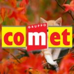 comet