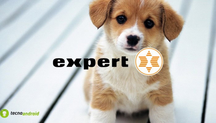 expert