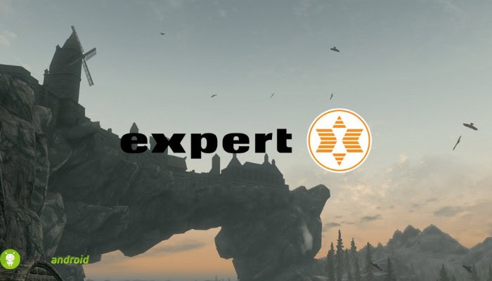 expert