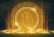 bitcoin, Bitcoin, phishing, email, truffa, euro, dollari