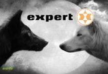 expert