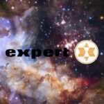 expert