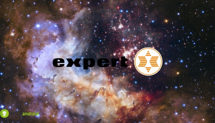 expert