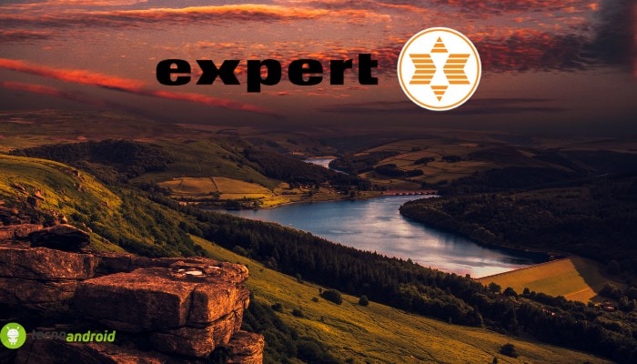 expert