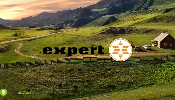 expert