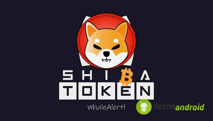 shiba-inu-investire-crypto-quotazione-230-per-cento-una-settimana-tweet-elon-musk