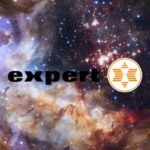 expert