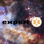 expert