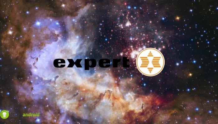 expert