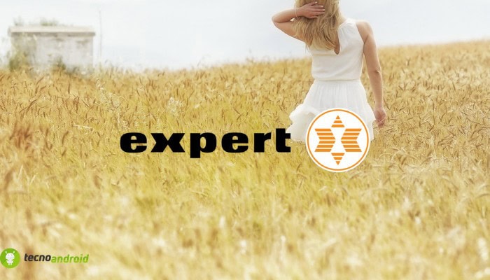 expert